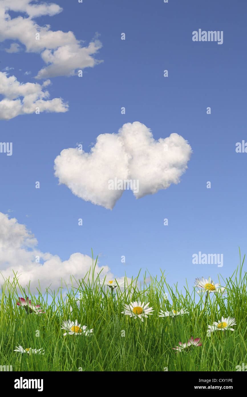 Cloud formation forming the shape of two hearts in the sky above a flowering meadow, illustration Stock Photo