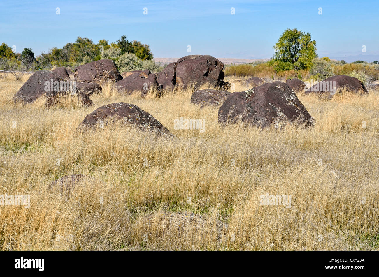Melon Gravels, basalt boulders, Hagerman Wildlife Area, Hagerman, Idaho, USA Stock Photo
