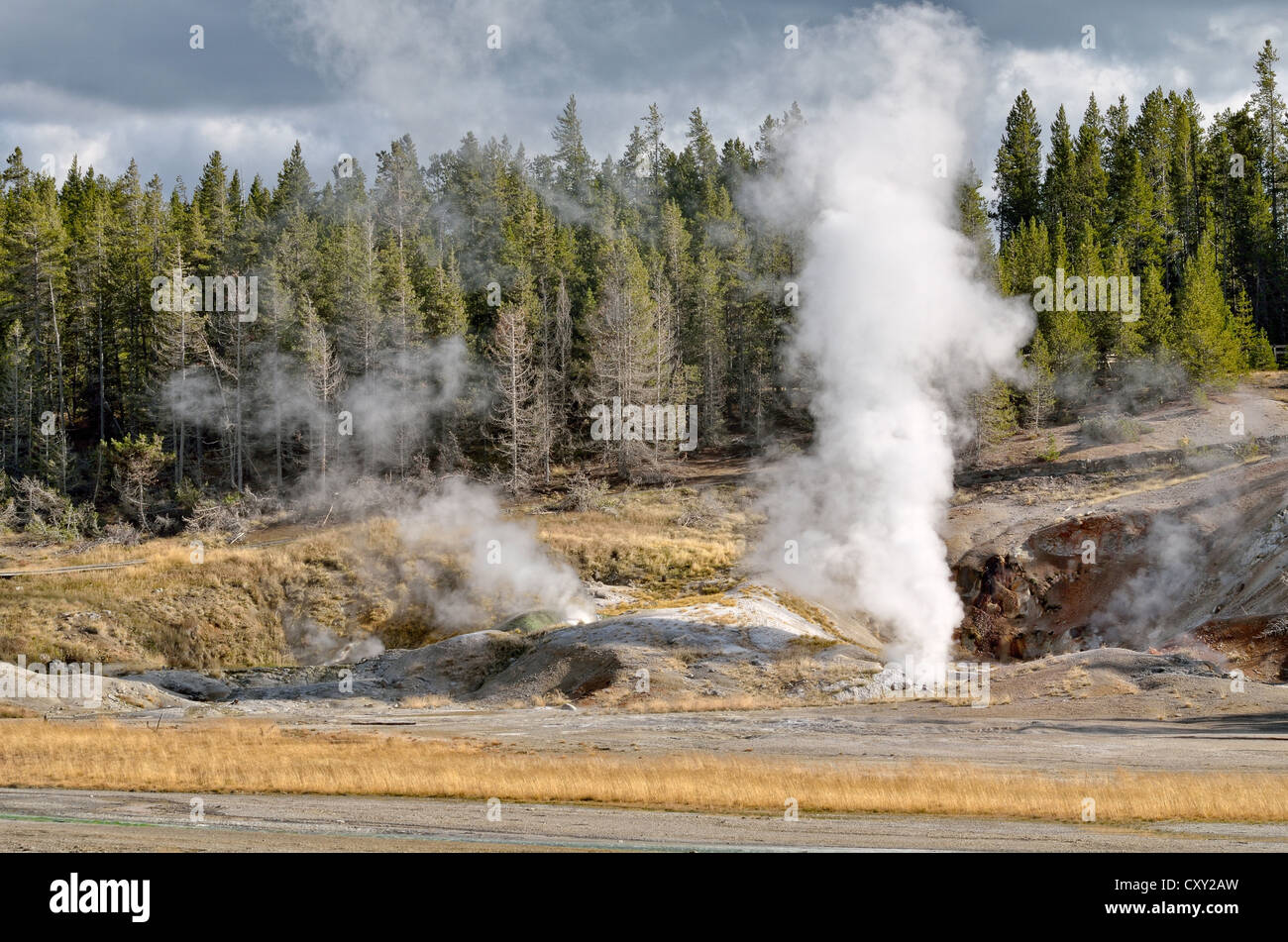 Black Growler Steam Vent, Porcelain Basin, Norris Geyser Basin ...
