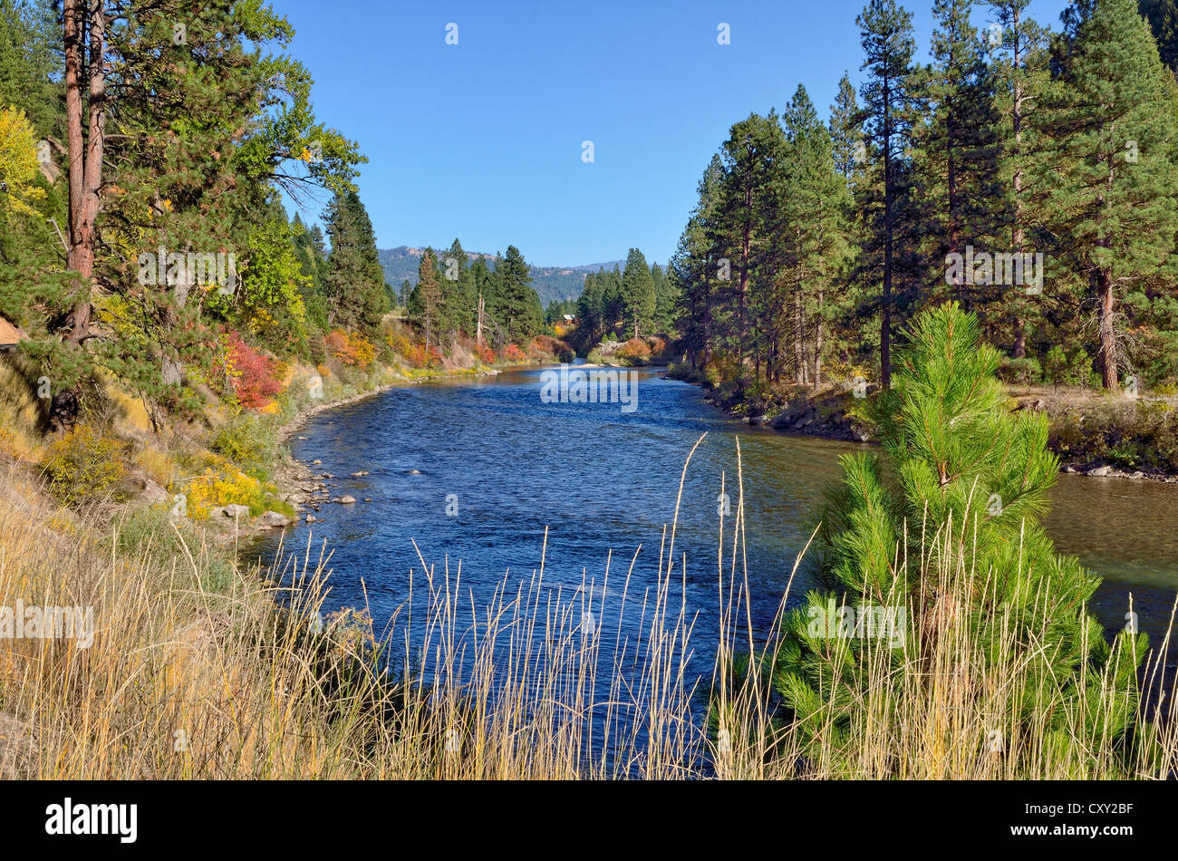 South Fork Payette River, Wildlife Scenic Byway, Garden Valley, Highway 24, Idaho, USA Stock Photo