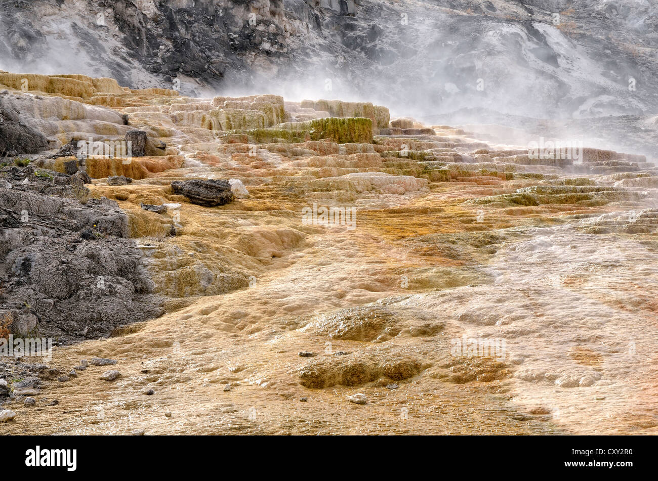 Sinter terraces, Mound Terrace, Mammoth Hot Springs, Yellowstone National Park, Wyoming, USA Stock Photo