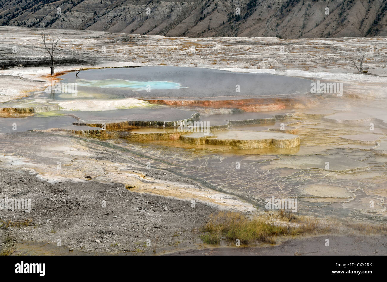 Trail Springs, Main Terrace, Mammoth Hot Springs, Yellowstone National Park, Wyoming, USA Stock Photo