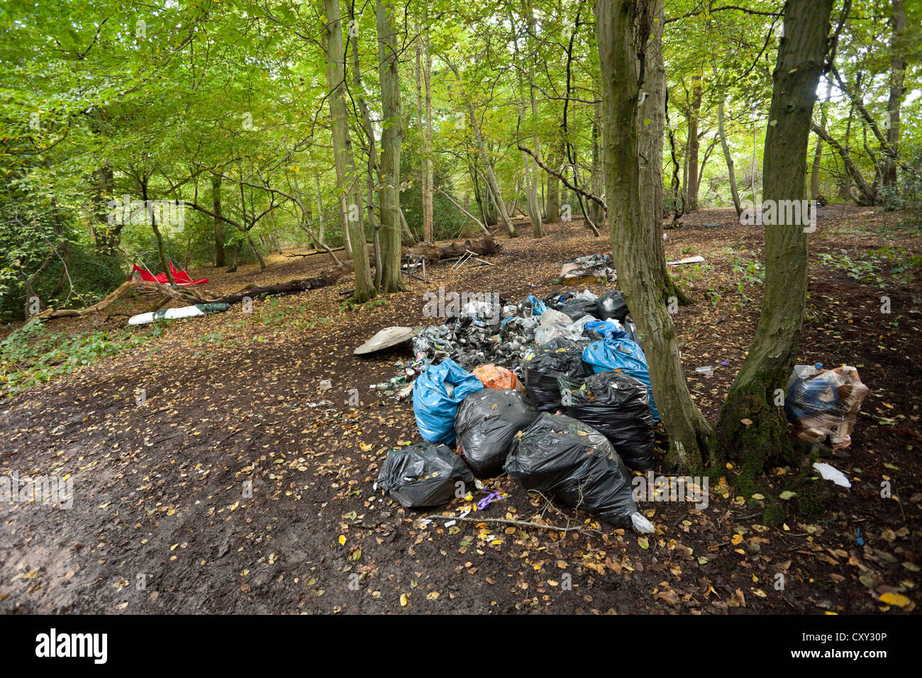 Rubbish bags left in a country park, Borehamwood, Hertfordshire, England, UK Stock Photo