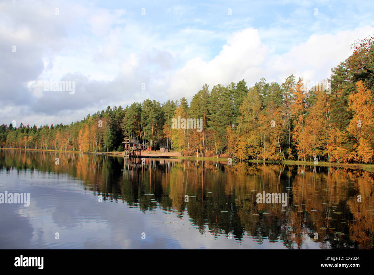 Empty beach by rural lake in Finland with reflections in Autumn. Stock Photo