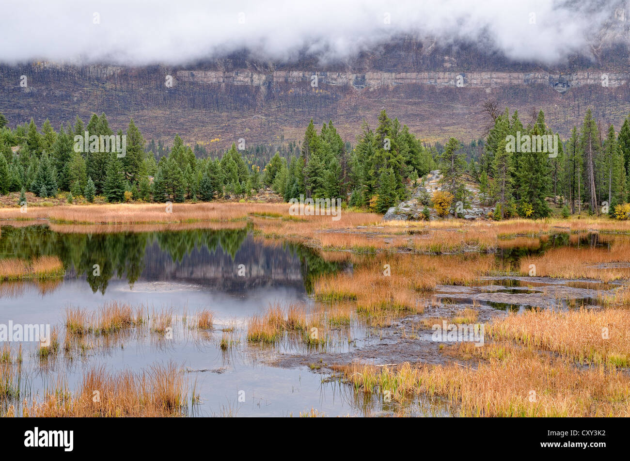 Reflections on a small lake on State Road 296, Wyoming, USA Stock Photo