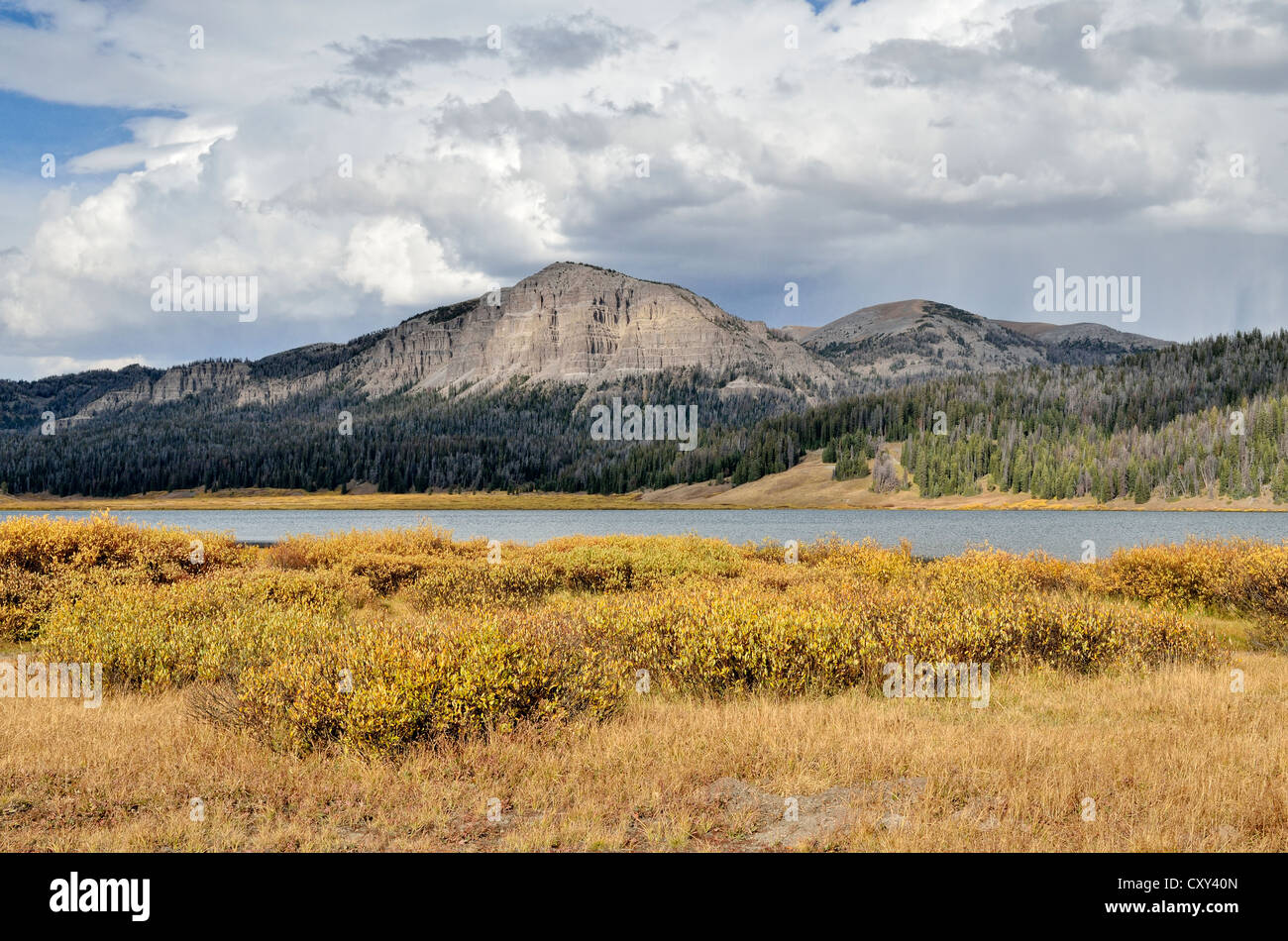 Brooks Lake, Shoshone Wilderness Area, Wyoming, USA Stock Photo