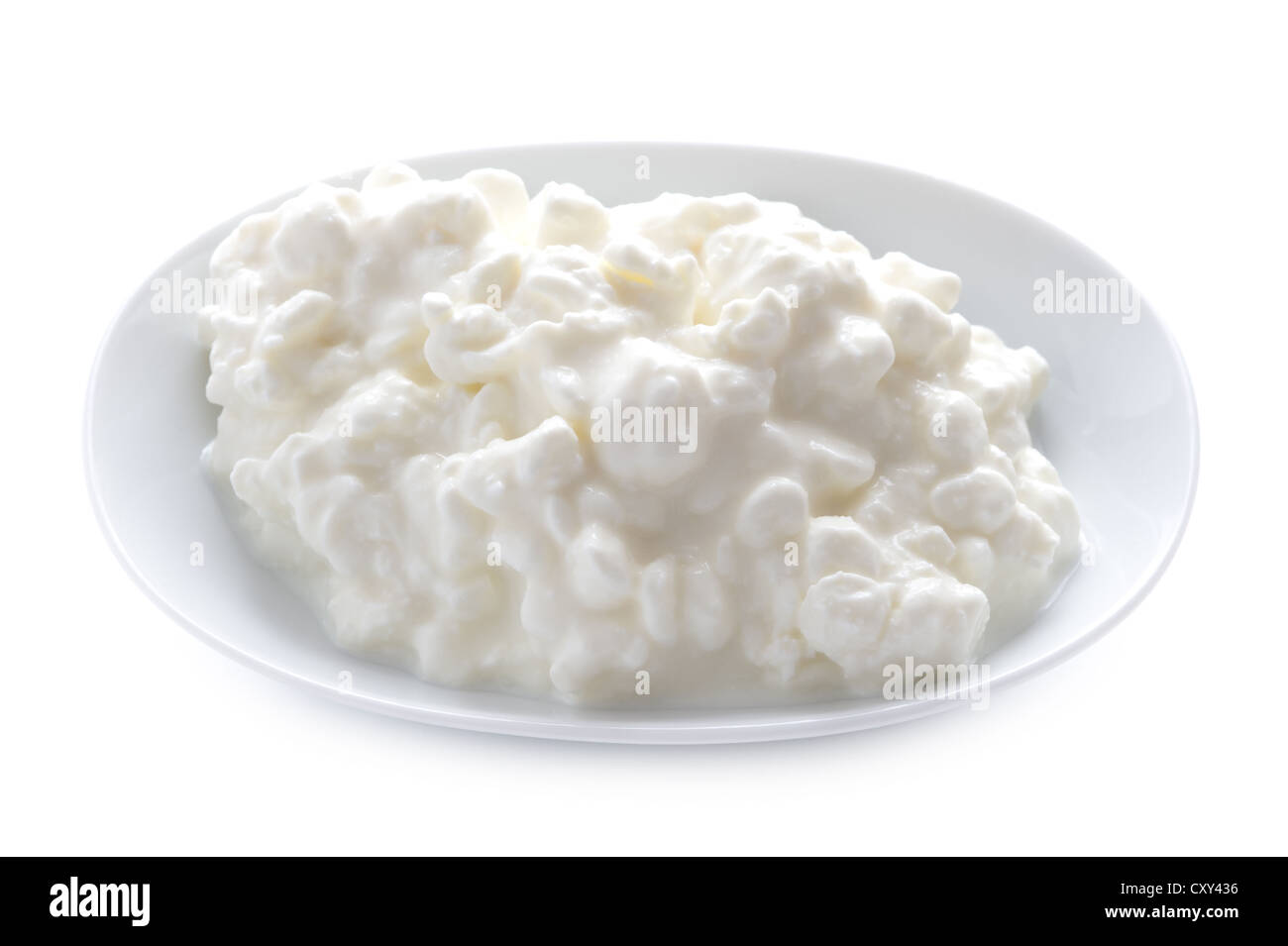 Natural Cottage Cheese In A Dish Isolated On A White Background