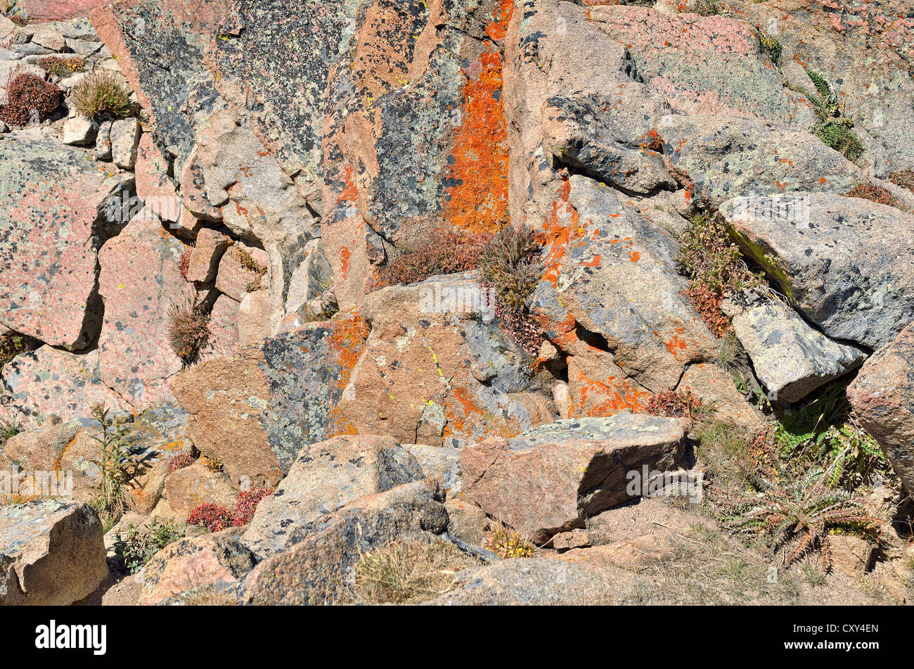 Rock formation at Forest Canyon Outlook, Trail Ridge Road, Rocky Mountain National Park, Colorado, USA Stock Photo