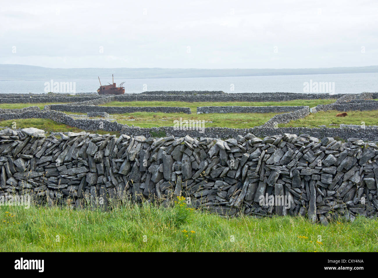 Ship wreck on aran islands hi-res stock photography and images - Alamy