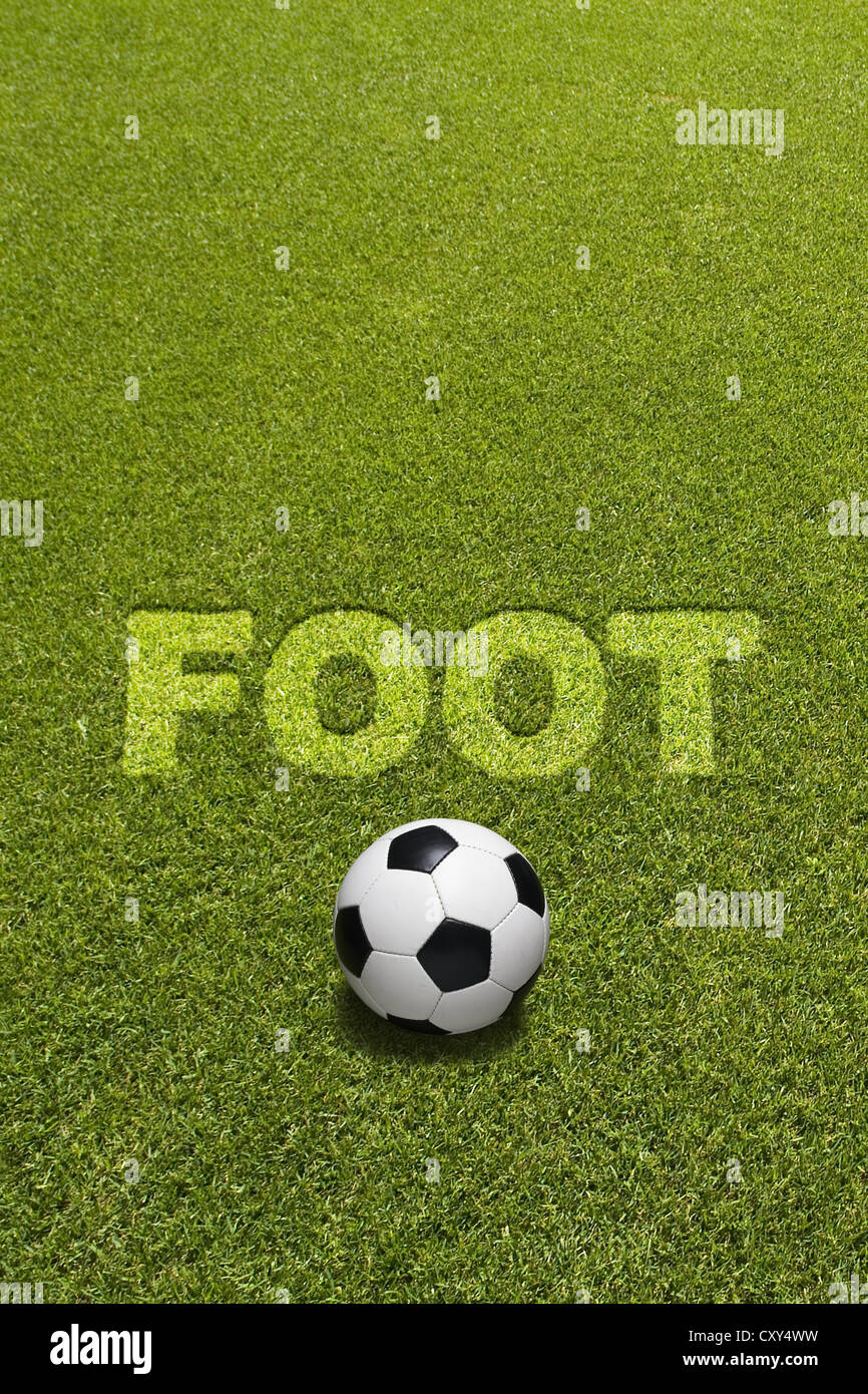 Football on grass below the lettering FOOT, composing Stock Photo - Alamy