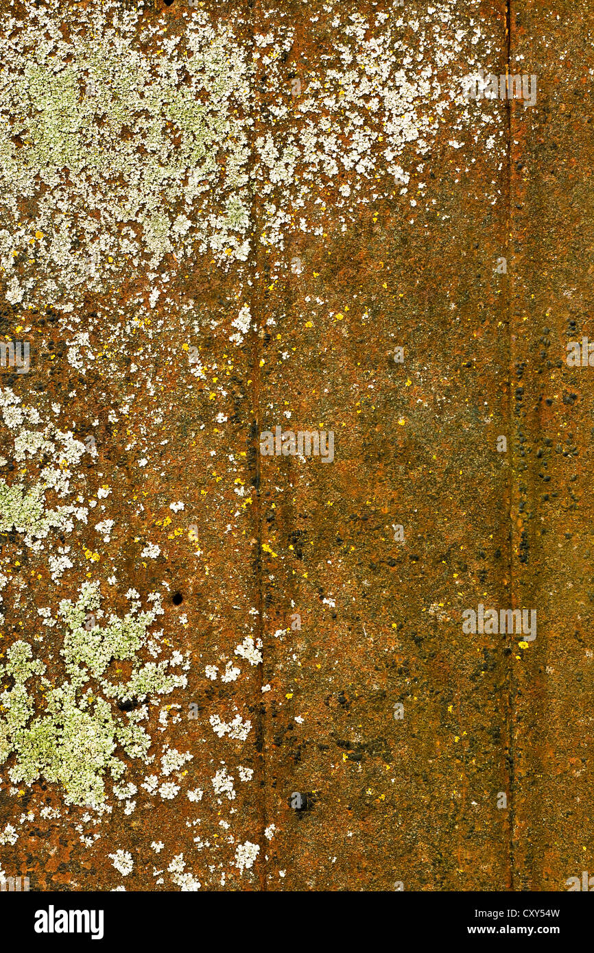 Background and texture of rusty metal Stock Photo - Alamy