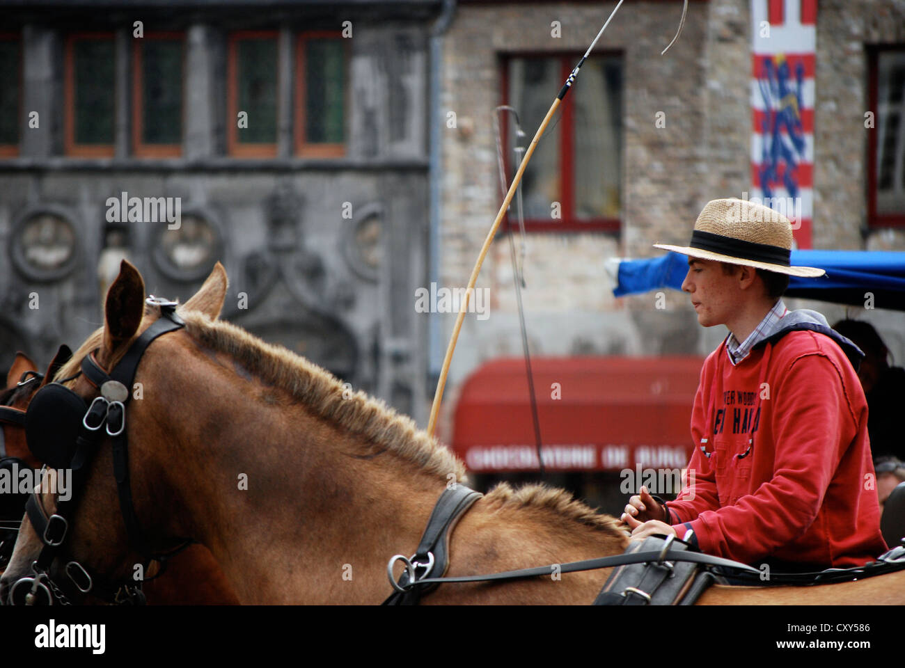 Young man with Horse-drawn carriage in Bruges, West-Vlaanderen, Belgium, Europe Stock Photo