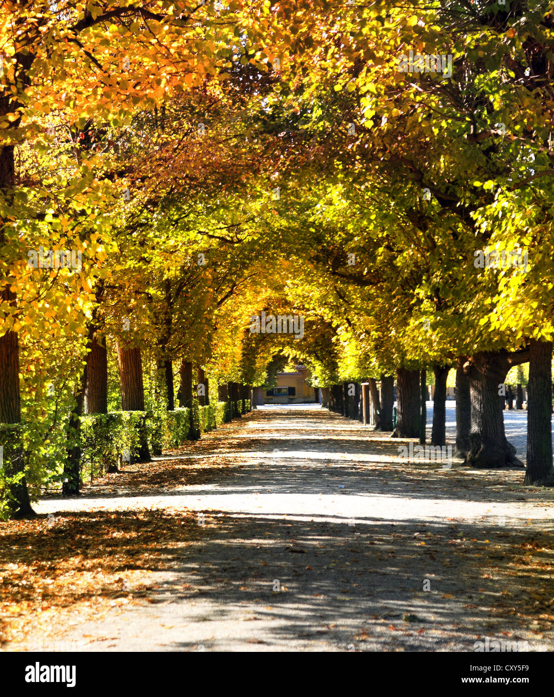 autumn day in city park Stock Photo - Alamy