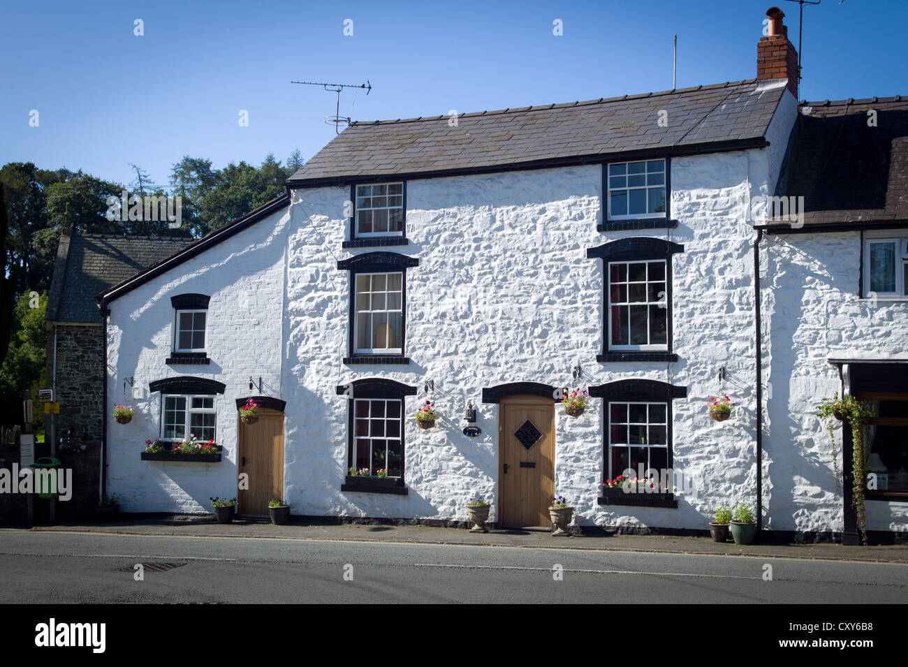White painted domestic houses in Llanrhaeadr village UK Stock Photo Alamy