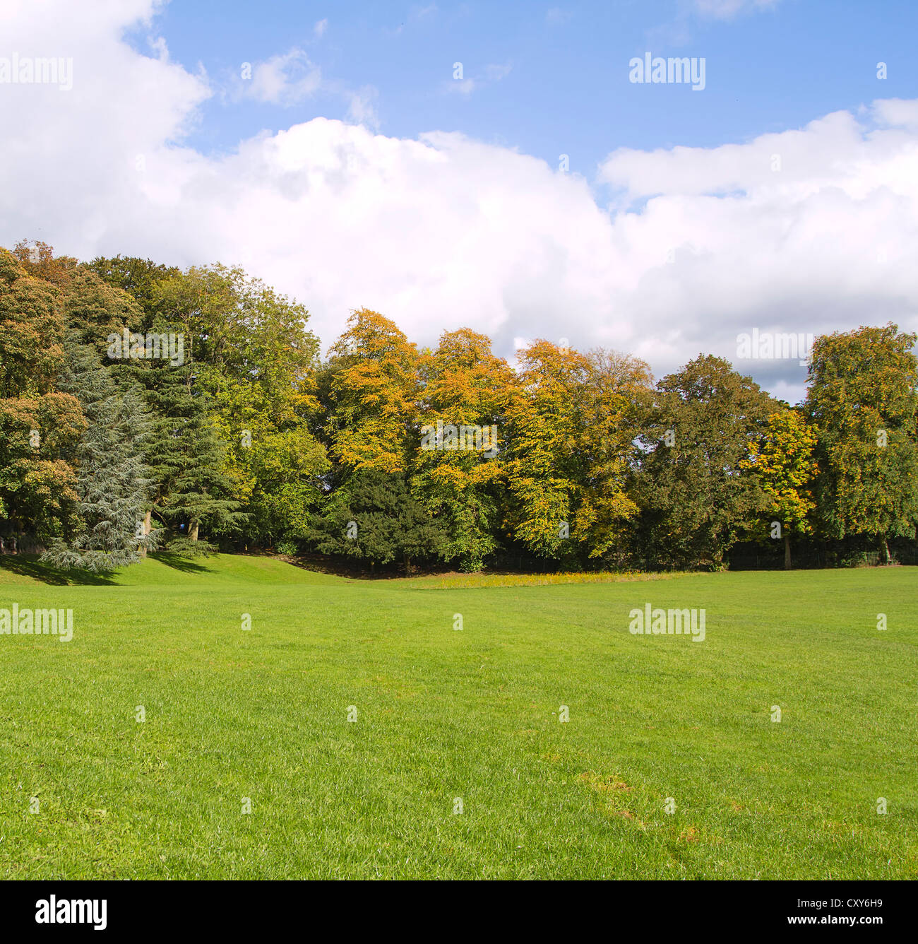 Green park grass trees hi-res stock photography and images - Alamy