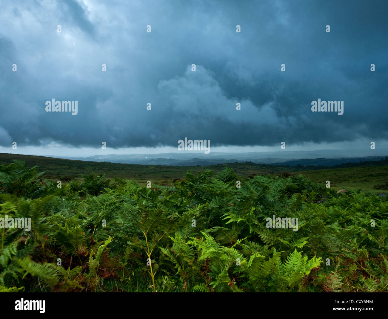 Storm clouds gather over a green landscape Stock Photo - Alamy