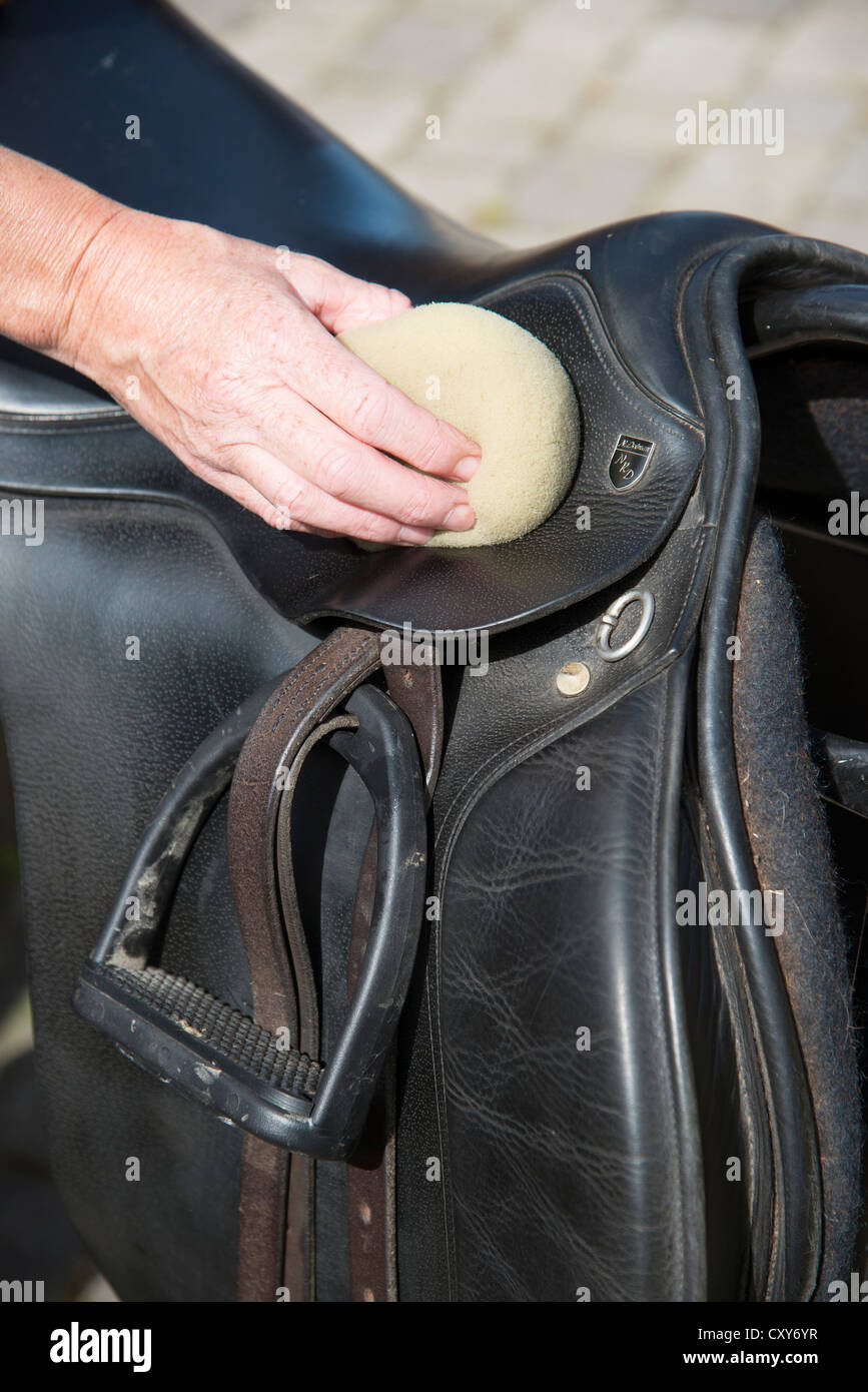 Woman cleaning a horse's saddle Stock Photo Alamy