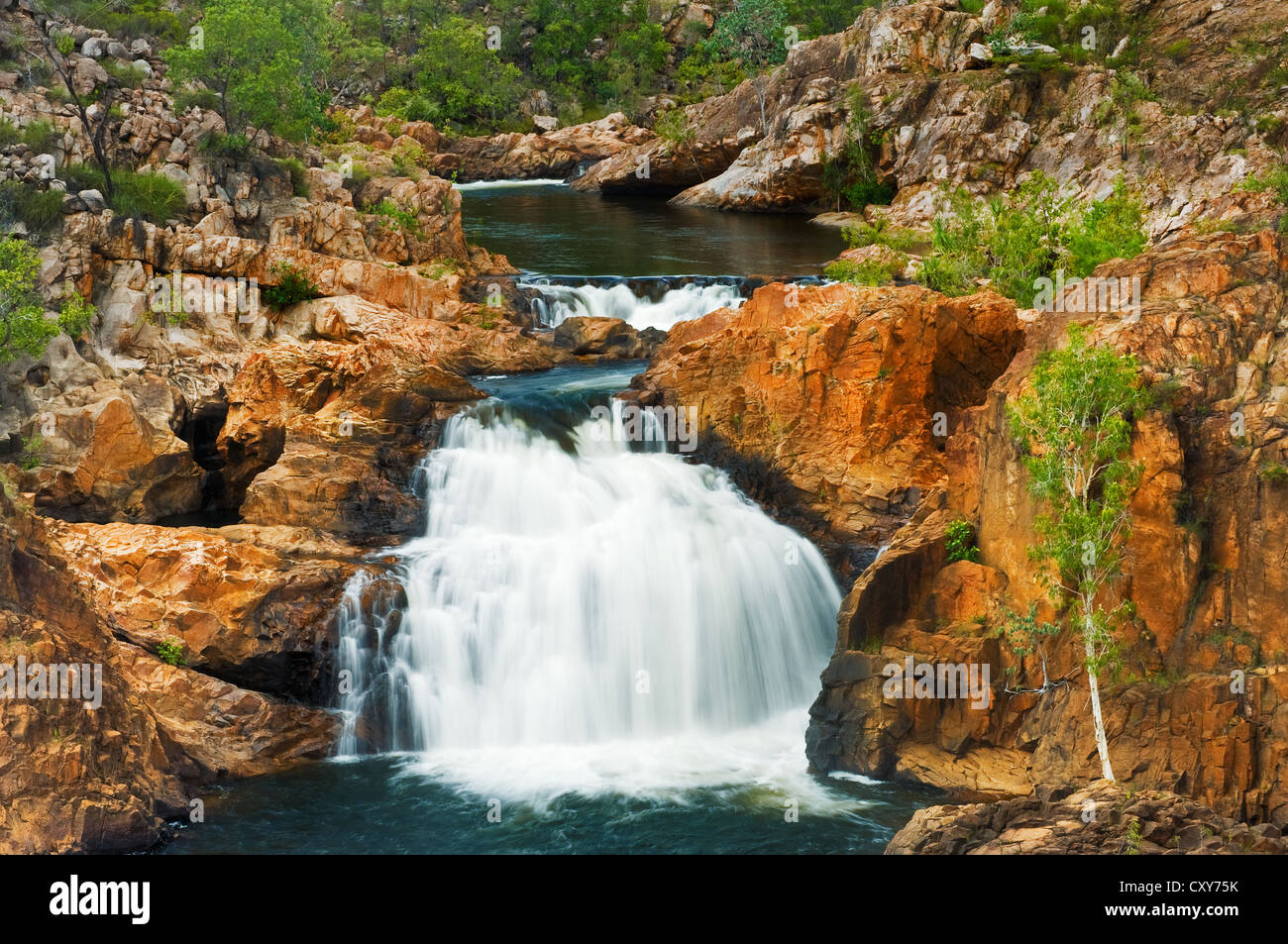 Edith Falls in Nitmiluk National Park right after the wet season. Stock Photo
