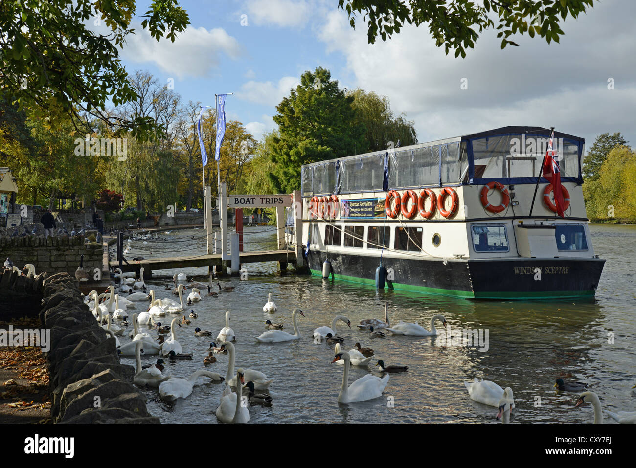 Riverboat moored by River Avon, Windsor, Berkshire, England, United Kingdom Stock Photo