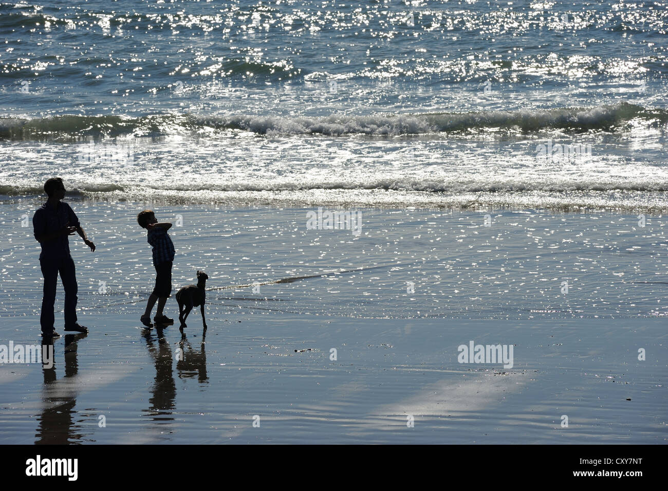 Man child & Dog on the beach at Borth Stock Photo