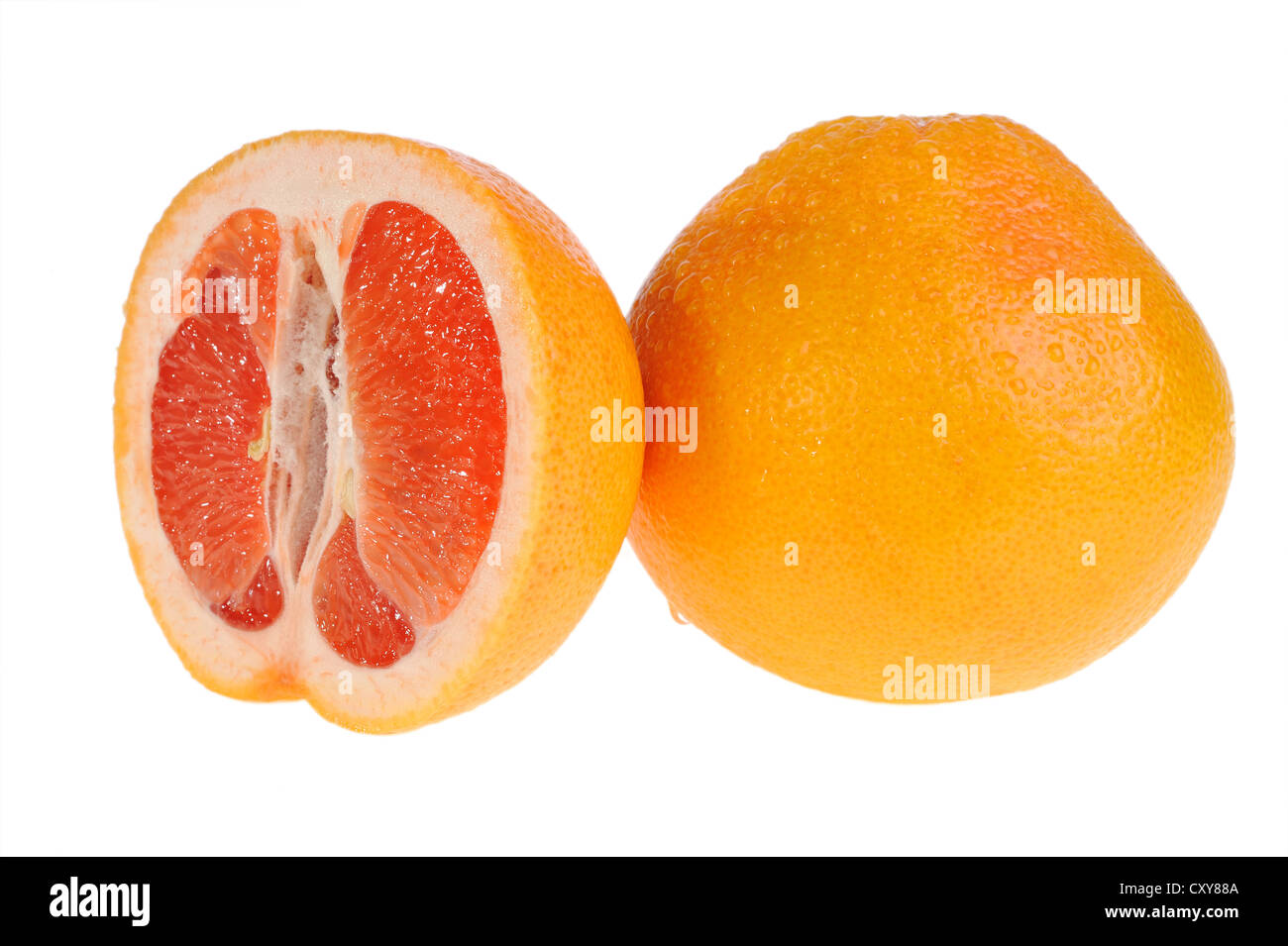 Grapefruit on white background Stock Photo Alamy