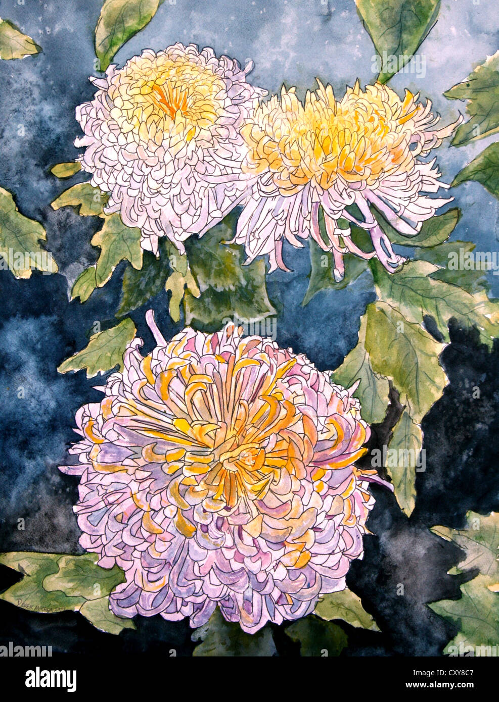 chrysanthemums flower paintings Stock Photo