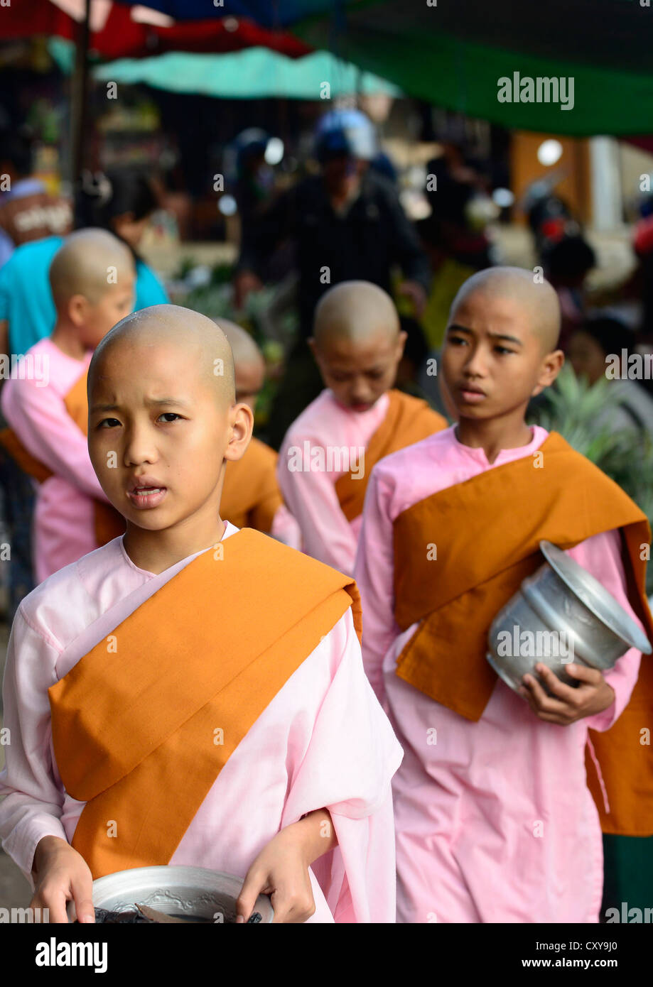 Morning scene in Kengtung, Myanmar. Nuns lining up for alms in a local market. Stock Photo