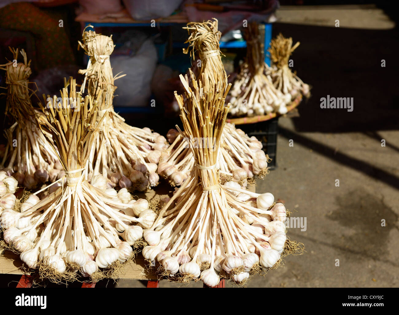 Fresh Garlic sold in Kengtung market, Myanmar. Stock Photo