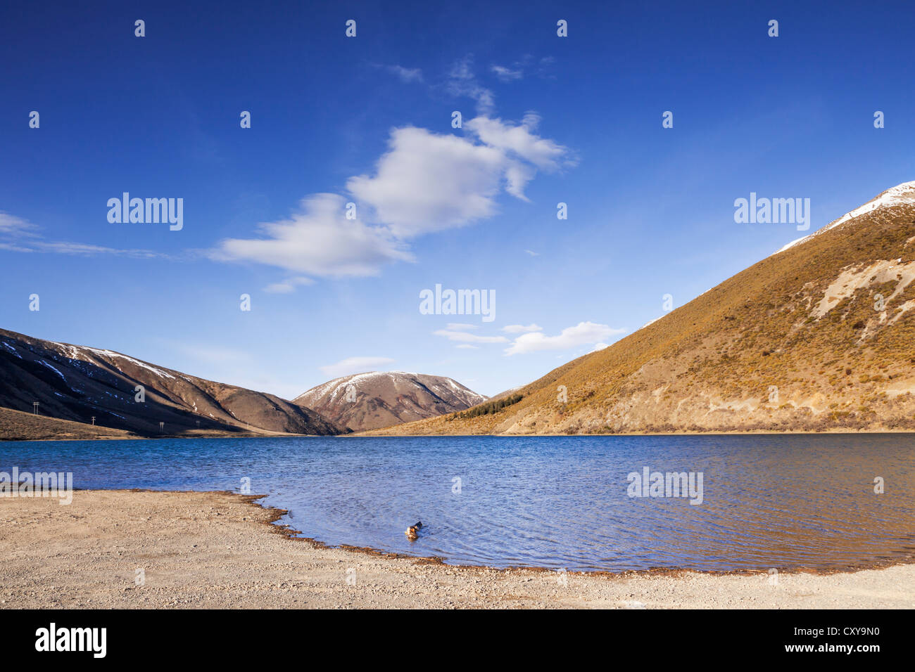 Lake Lyndon, Canterbury, New Zealand. On the road between Christchurch and Arthurs Pass. Stock Photo