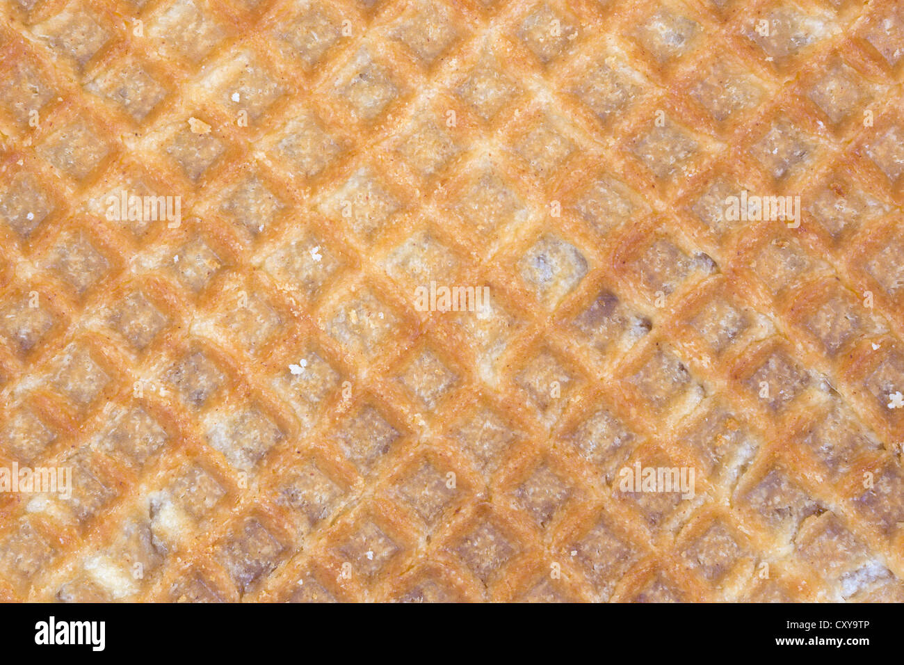 A very close view of the texture of a honey filled wafer cookie Stock