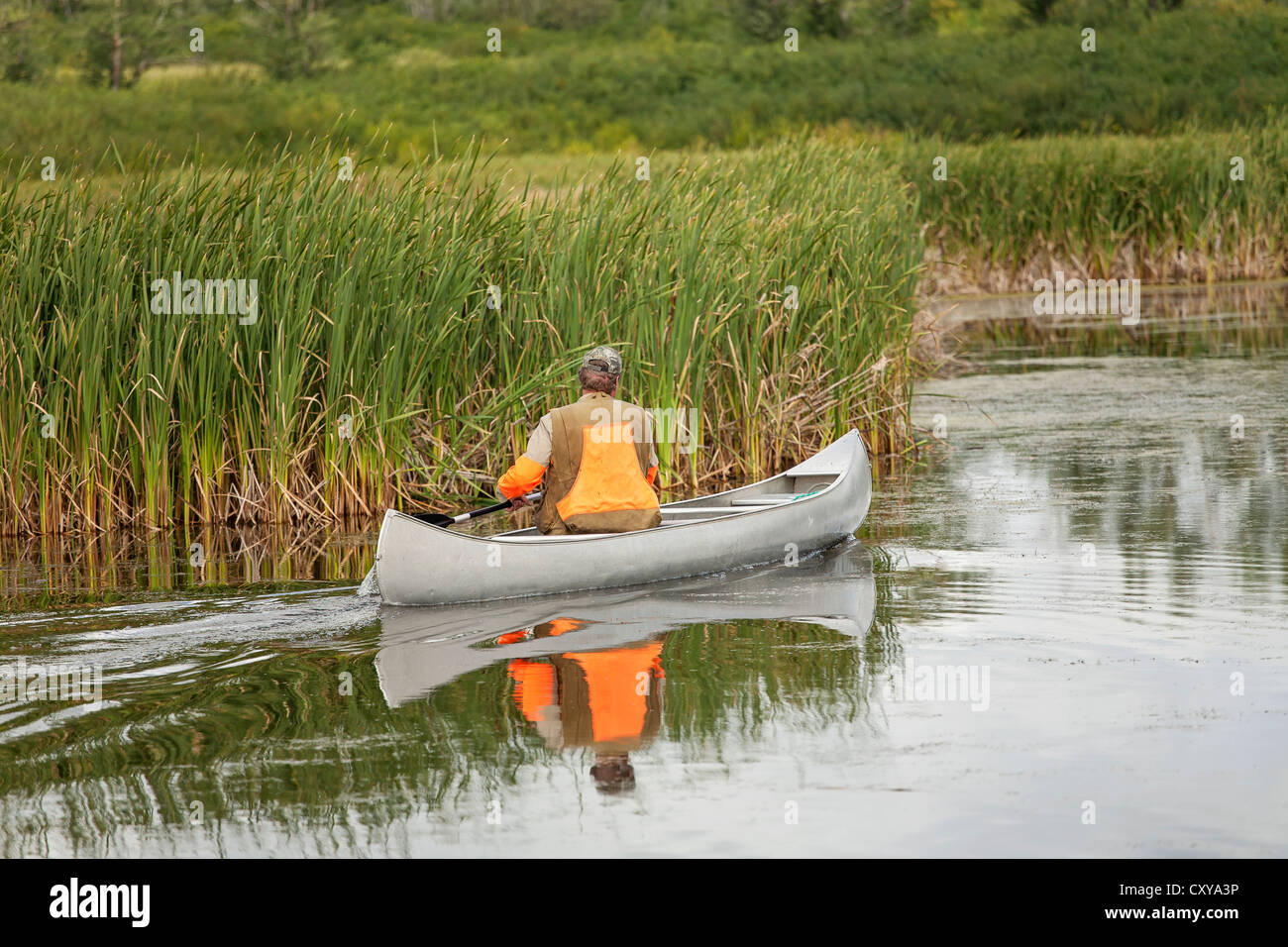 hunter paddling canoe in marsh Stock Photo