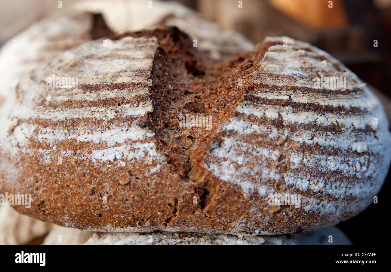 Artisan Bread For Sale Stock Photo Alamy   Artisan Bread For Sale CXYAFF 