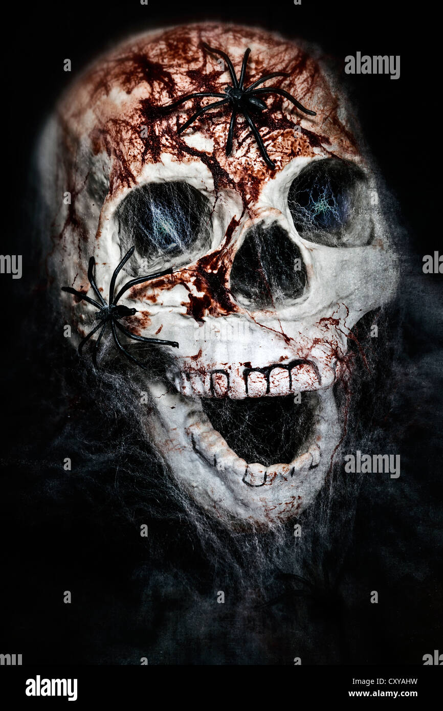 a bloody skull with cowebs and spiders Stock Photo