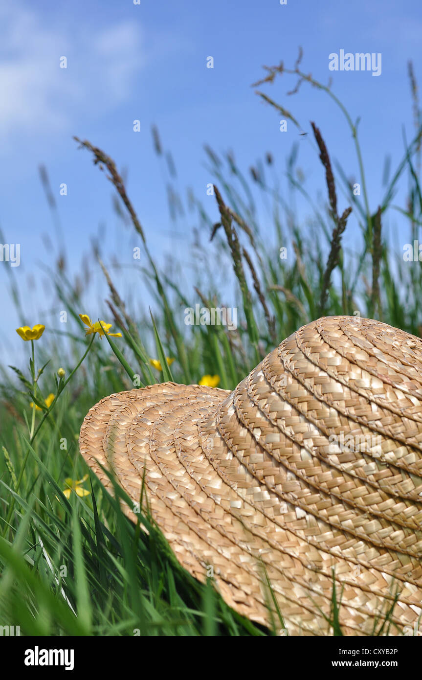 Straw hat lying in a meadow Stock Photo - Alamy