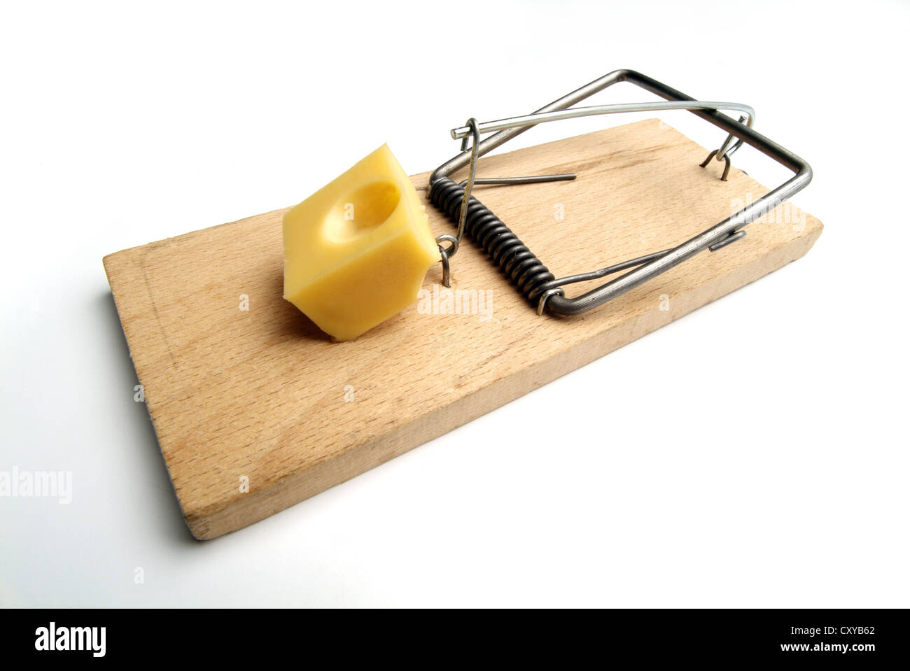Mouse trap with sale cheese