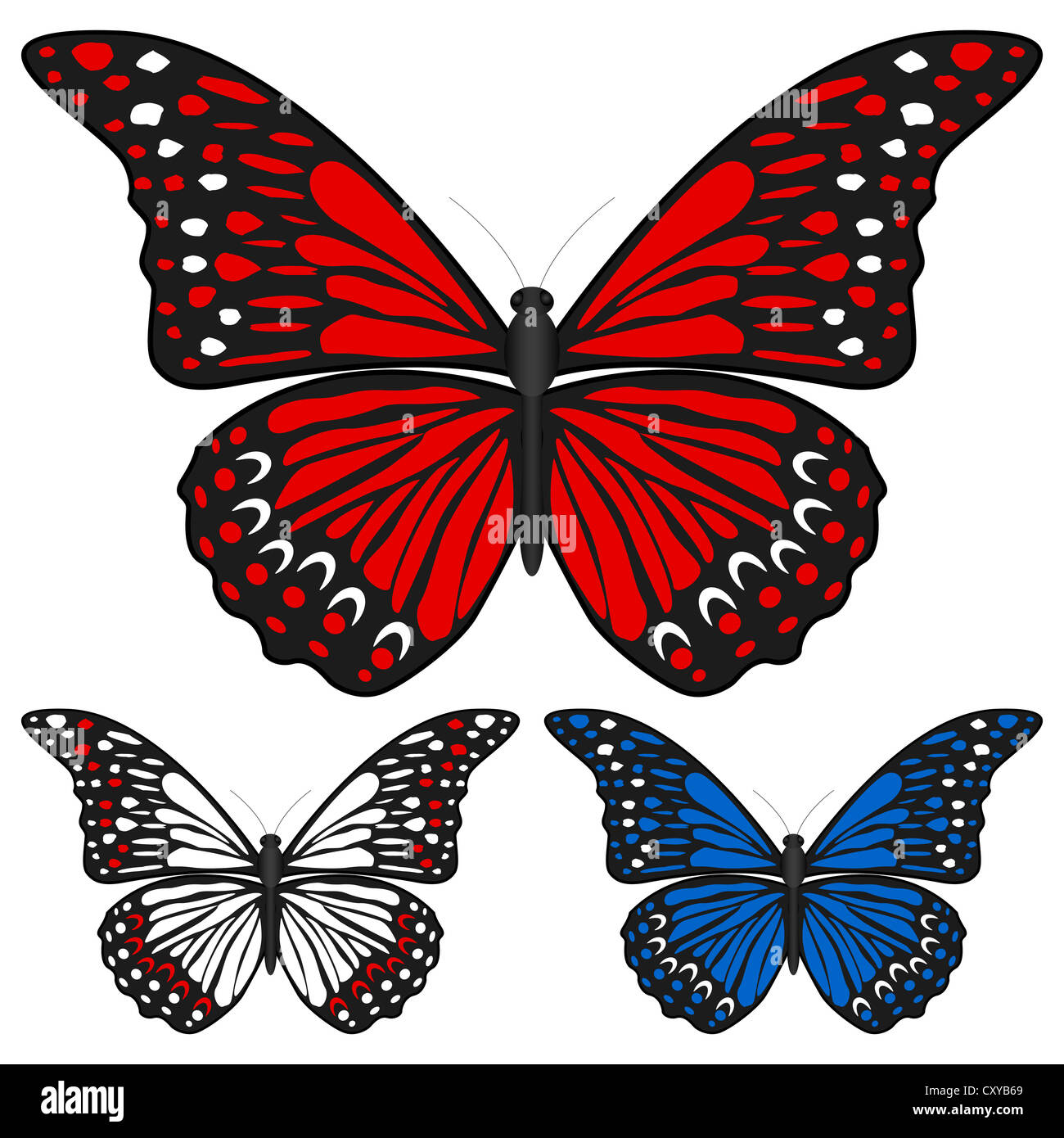 Butterfly set isolated on white background, Vector illustration Stock ...