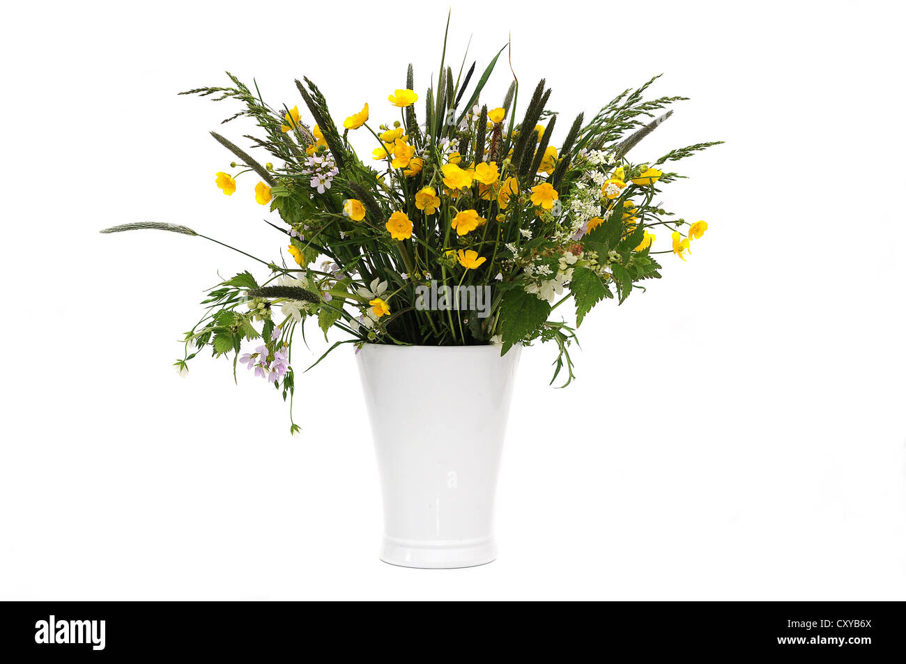Bunch of field flowers with buttercups (Ranunculus acris) in a white vase Stock Photo