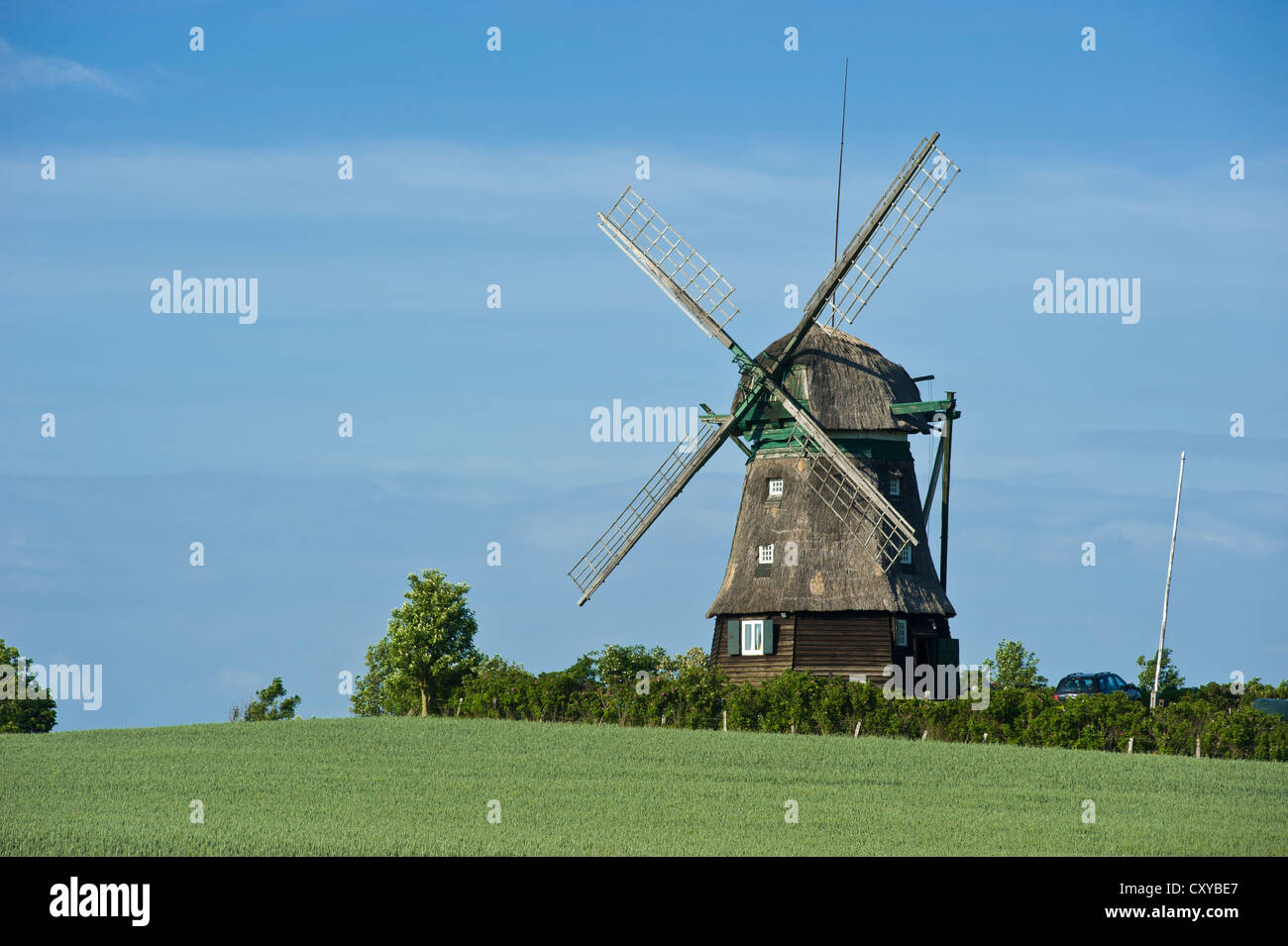 Farver Muehle mill, Farve, Baltic Sea, Schleswig-Holstein Stock Photo