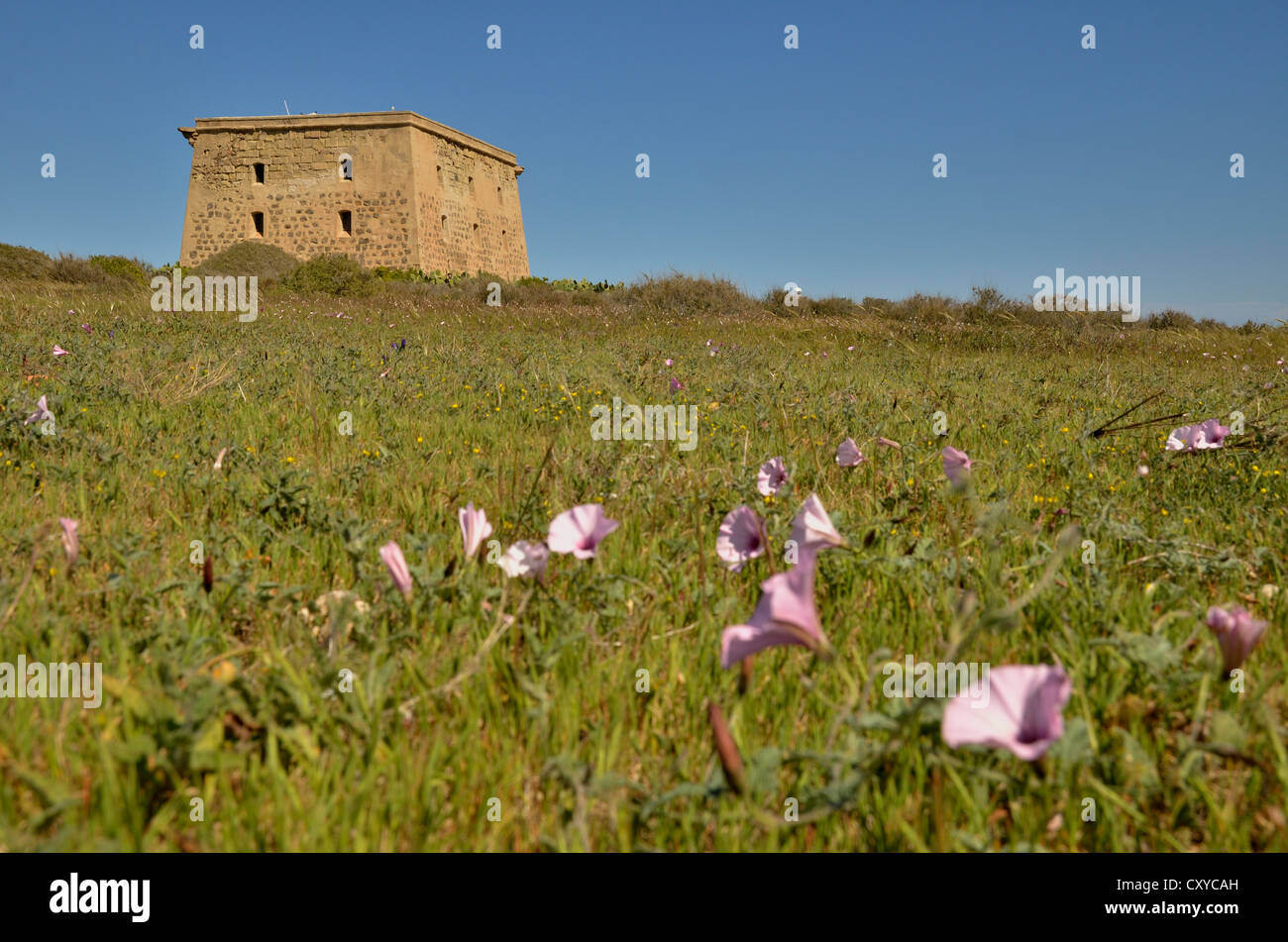 Torre de San José, former prison on the island of Tabarca, Isla de Tabarca, Alicante region, Costa Blanca, Spain, Europe Stock Photo