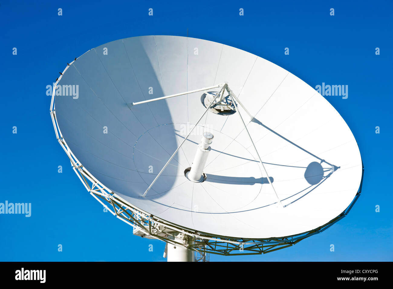 Large satellite dish, Auckland, New Zealand, PublicGround Stock Photo