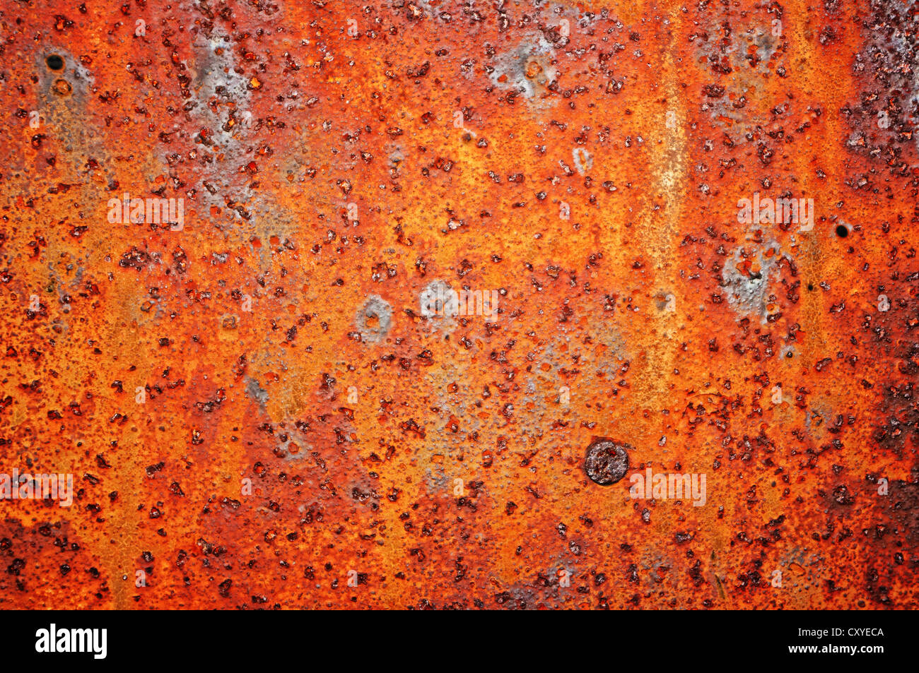 Rusty sheet as a background. Stock Photo