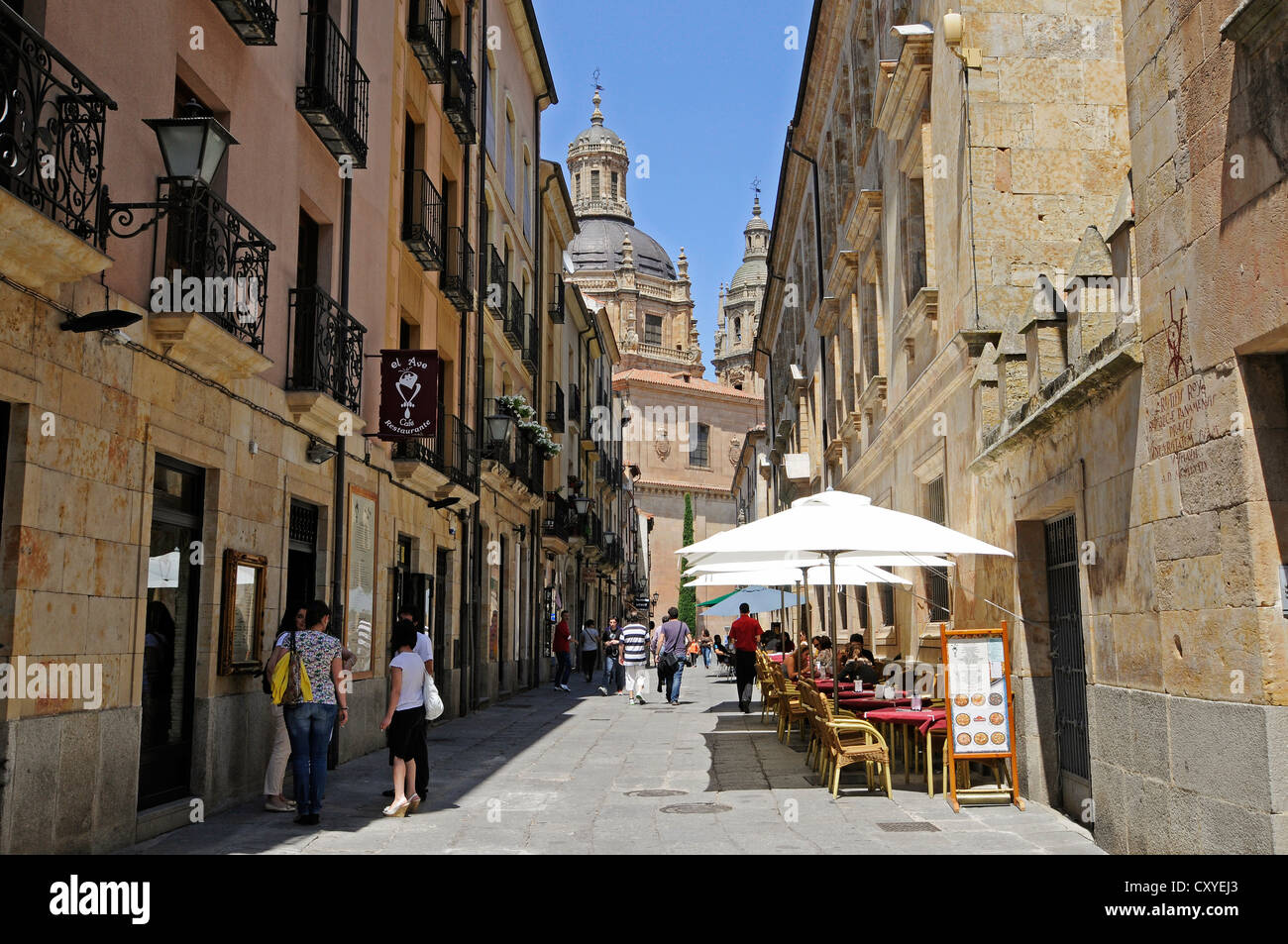 Libreros street, university at back, Salamanca, Castile-Leon, Spain, Europe, PublicGround Stock Photo