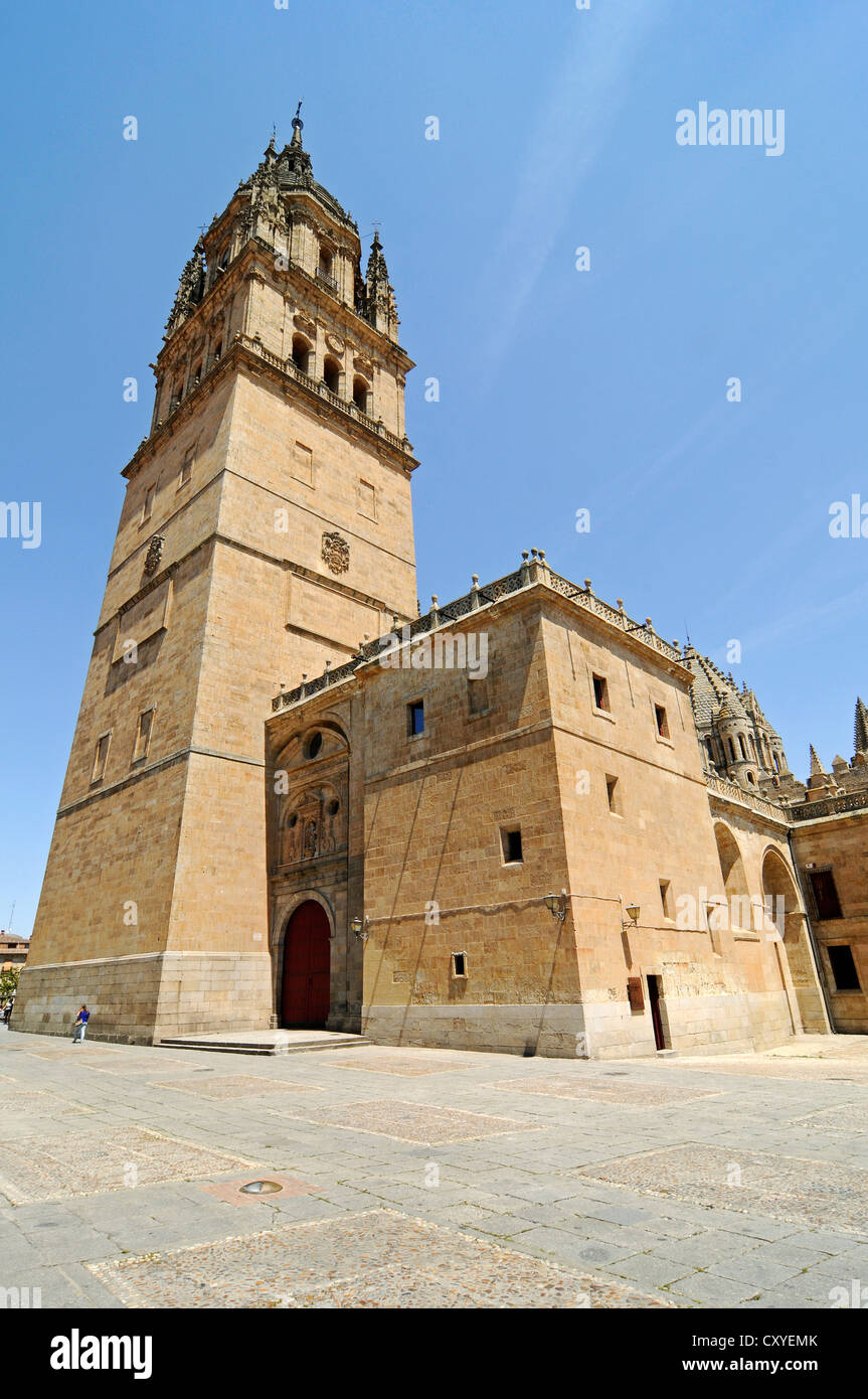 Ieronimus Tower, Old Cathedral, Salamanca, Castile-Leon, Spain, Europe, PublicGround Stock Photo