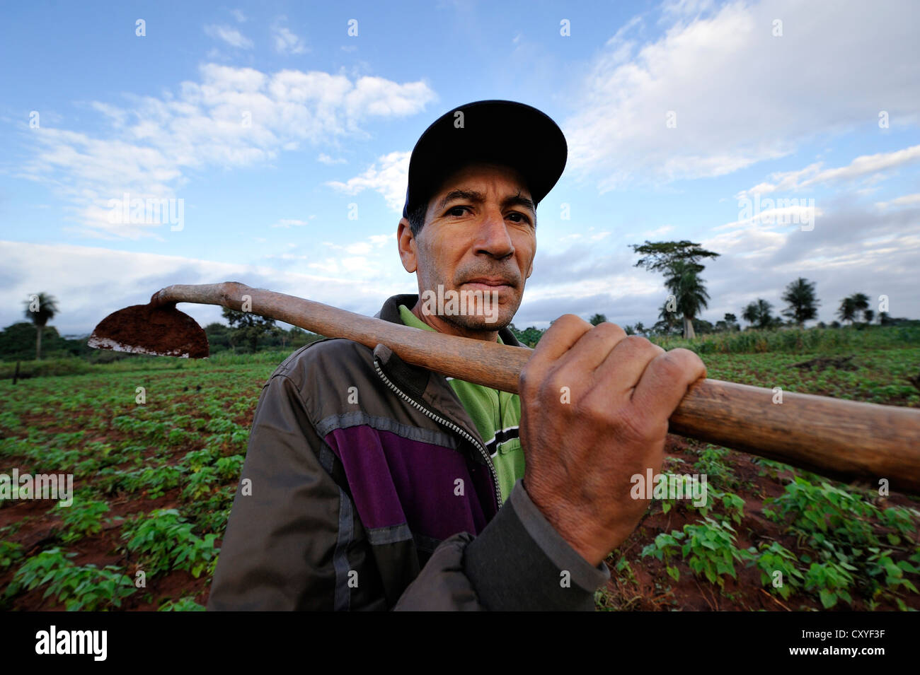 Smallholder carrying a hoe on his field of beans, Comunidad Arroyito, Departamento Concepcion, Paraguay, South America Stock Photo