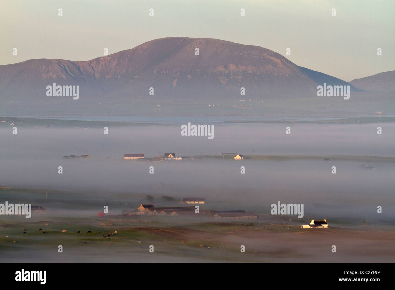 Mist at dawn, Orkney isles Stock Photo