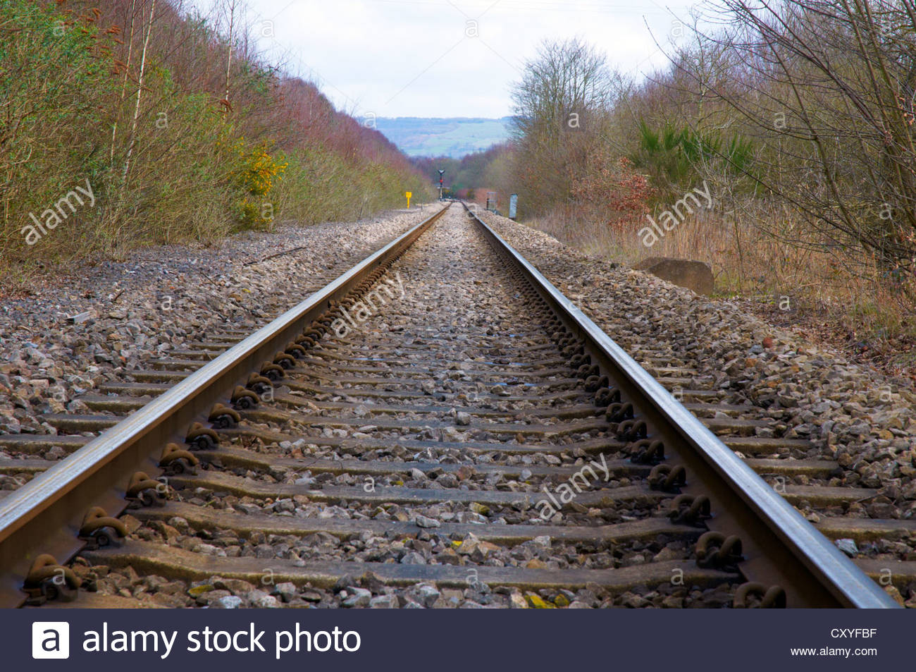 converging parallel railway lines Stock Photo 51006579 Alamy