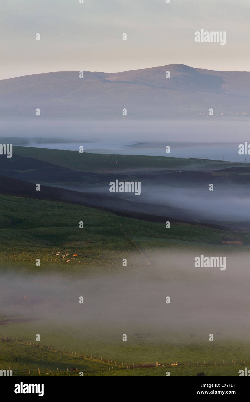 Summer mist on Orkney Stock Photo