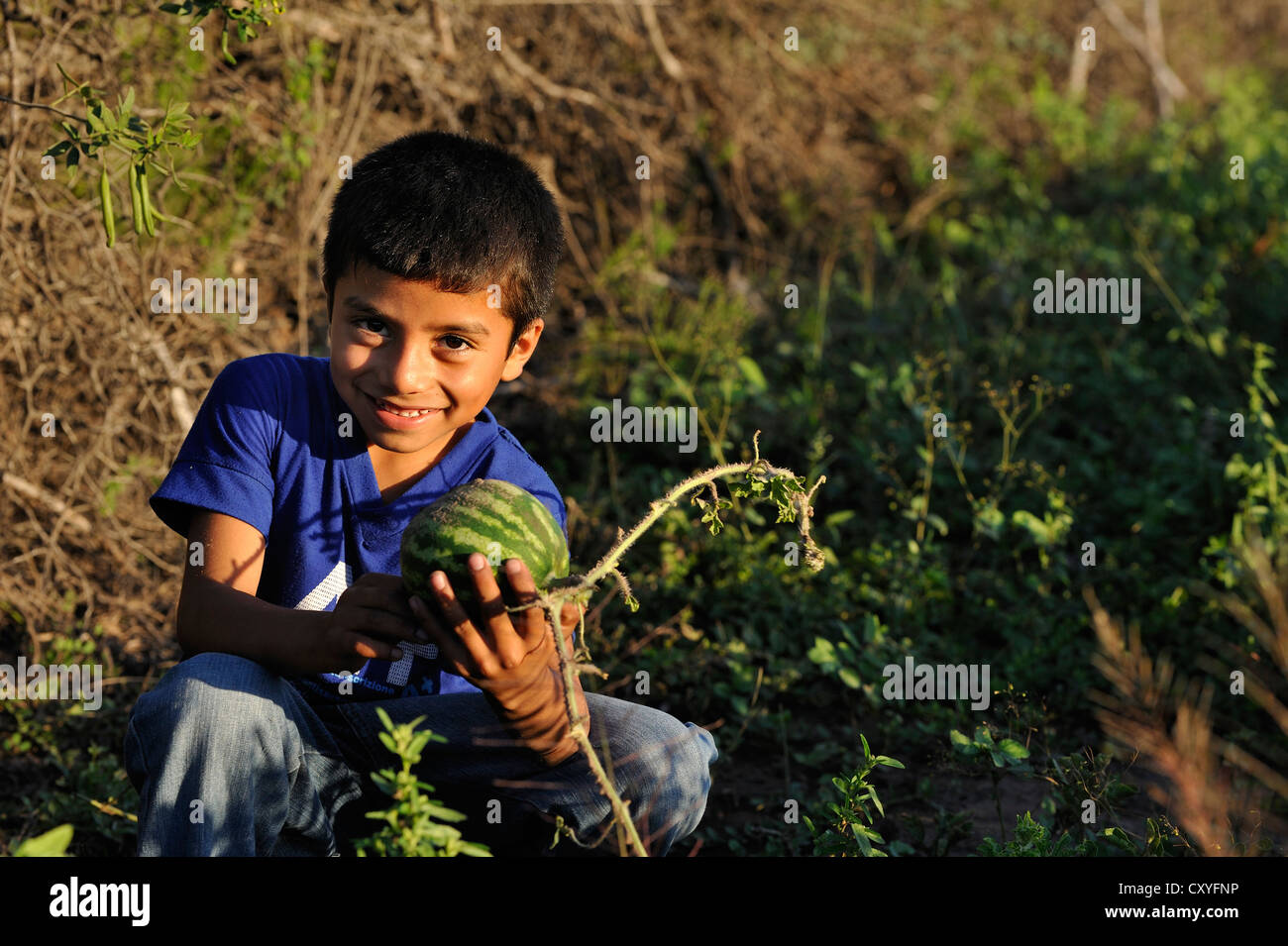Boy holding a watermelon, Gran Chaco, Santiago del Estero Province, Argentina, South America Stock Photo