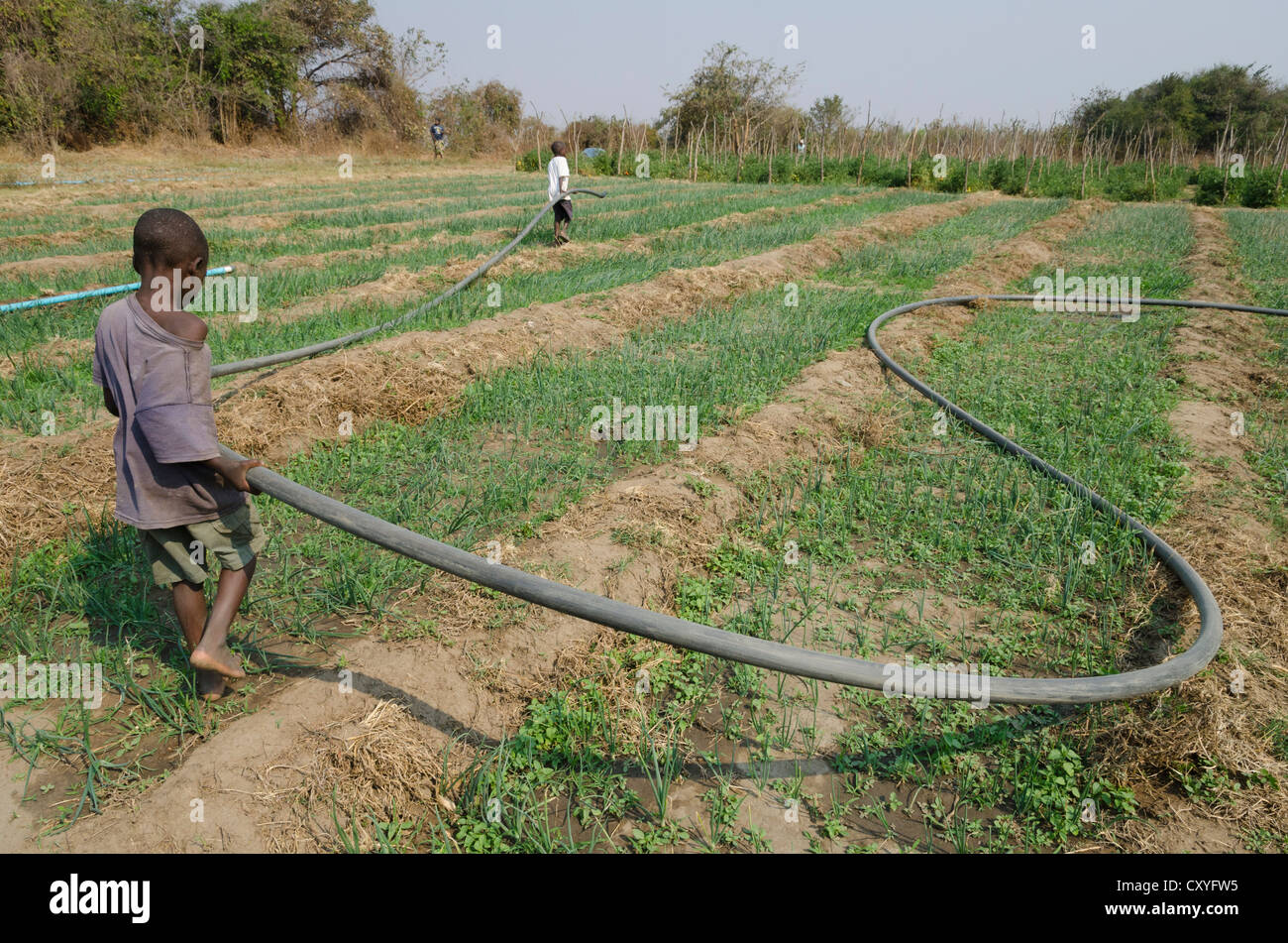 Africa irrigation hires stock photography and images Alamy
