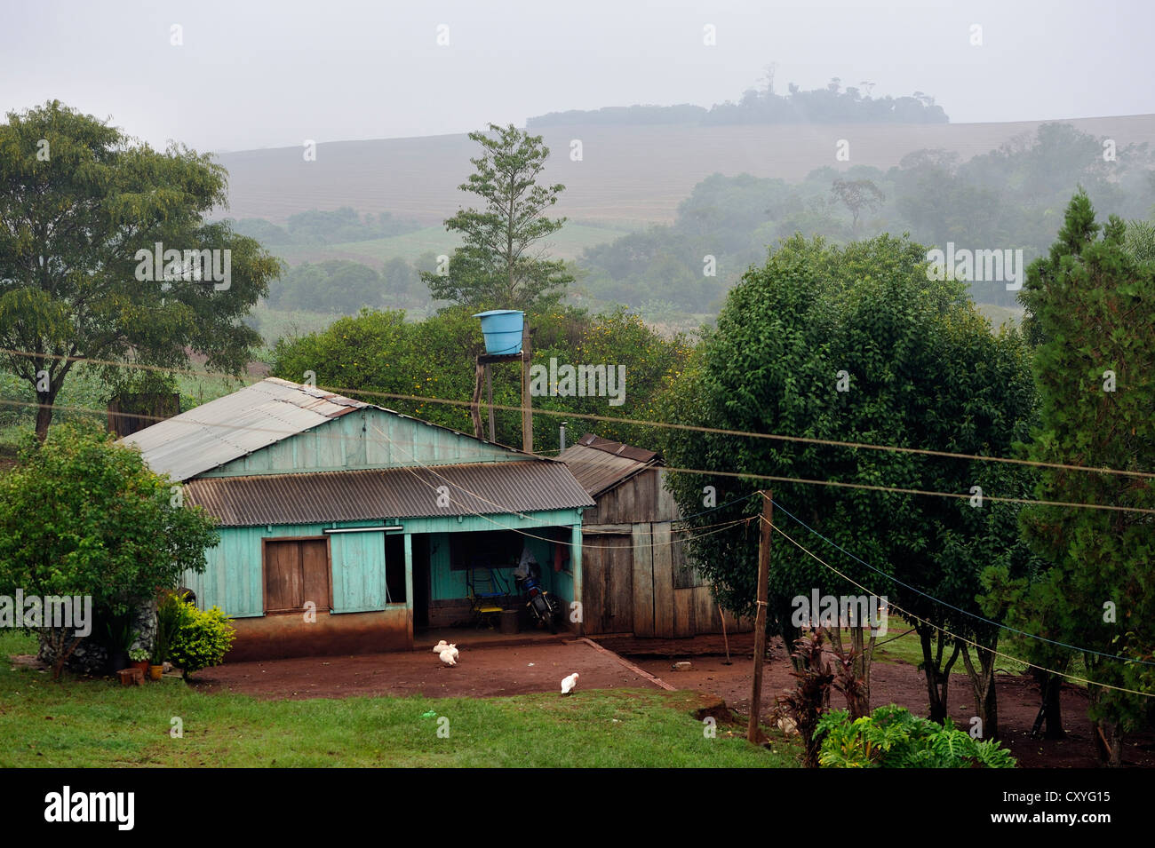 Land conflicts, farm of a smallholder in front of the soybean field of a landowner, Carlos Antonio Lopez district Stock Photo